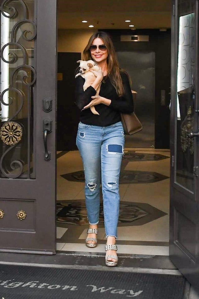 sofia vergara and her dog baguette