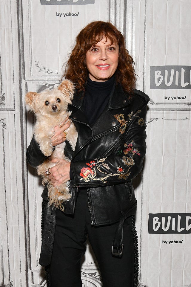 susan sarandon with her dog at build studio