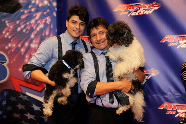 olate dogs - season 7 agt