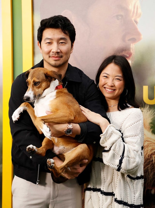 Simu Liu and Allison Hsu