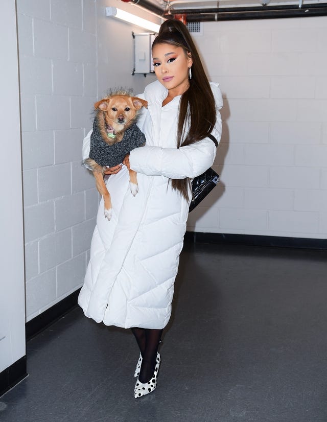 ariana grande and her dog