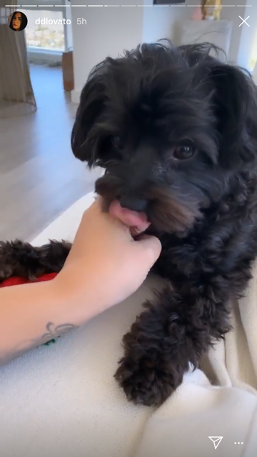 Demi Lovato with dog batman